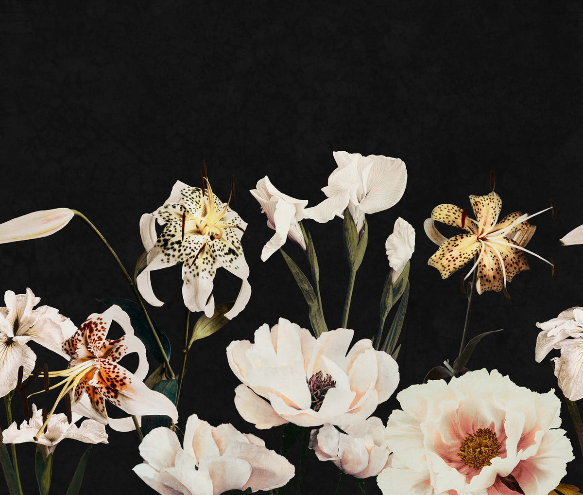 Dramatic Bouquet, Black Mural Wallpaper - pure wallpaper artwork