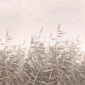 Dreamy Reed, Pink Mural Wallpaper - pure wallpaper artwork