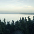 Top View, Day Mural Wallpaper - pure wallpaper artwork