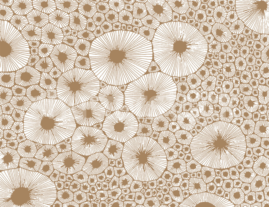 Bold Coral, Brown Mural Wallpaper