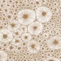 Bold Coral, Brown Mural Wallpaper - pure wallpaper artwork
