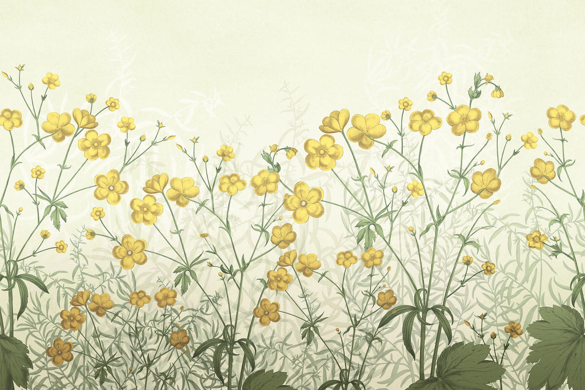 Vintage Buttercups, Yellow Mural Wallpaper - pure wallpaper artwork