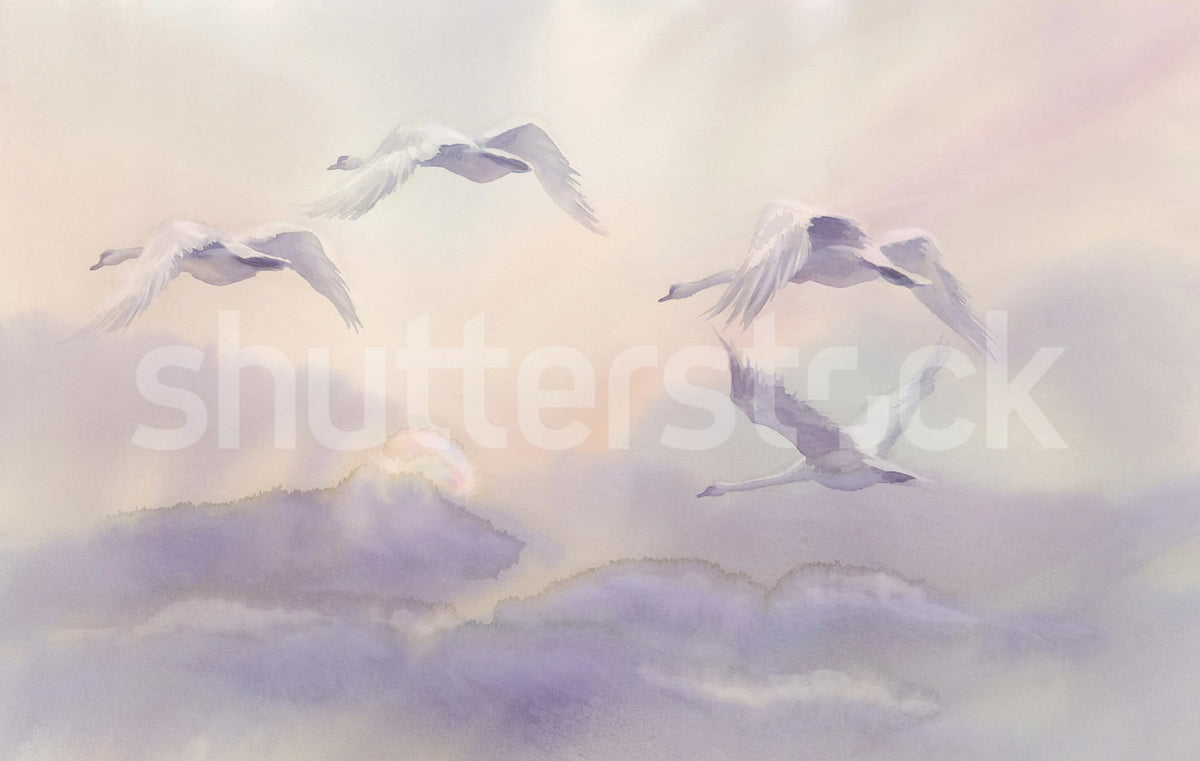 Flying Swans, Pastel Mural Wallpaper - pure wallpaper artwork