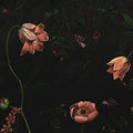 Romantic Garden, Night Mural Wallpaper - pure wallpaper artwork
