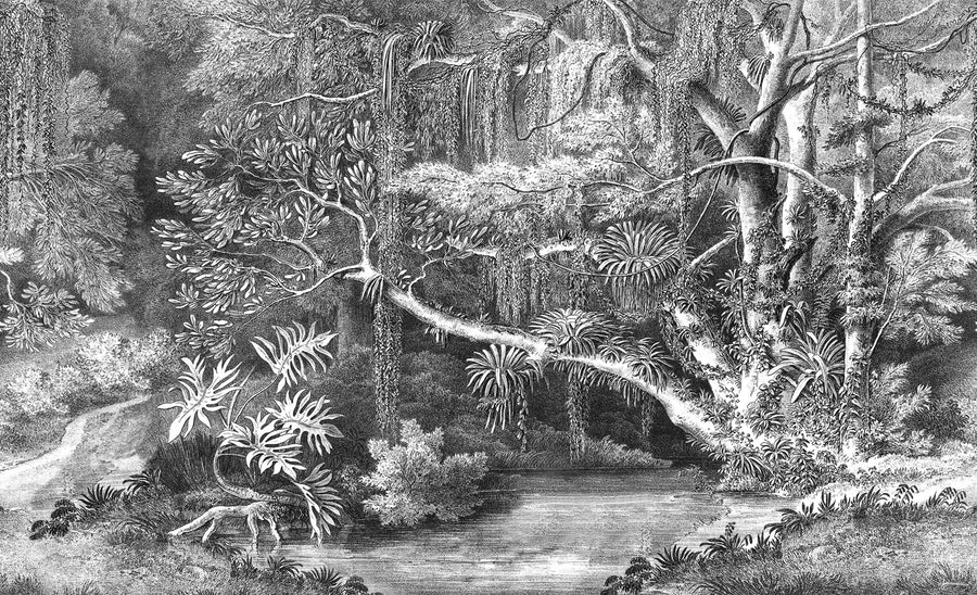Secret Well Repeatable, Black & White Mural Wallpaper