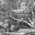 Secret Well Repeatable, Black & White Mural Wallpaper - pure wallpaper artwork