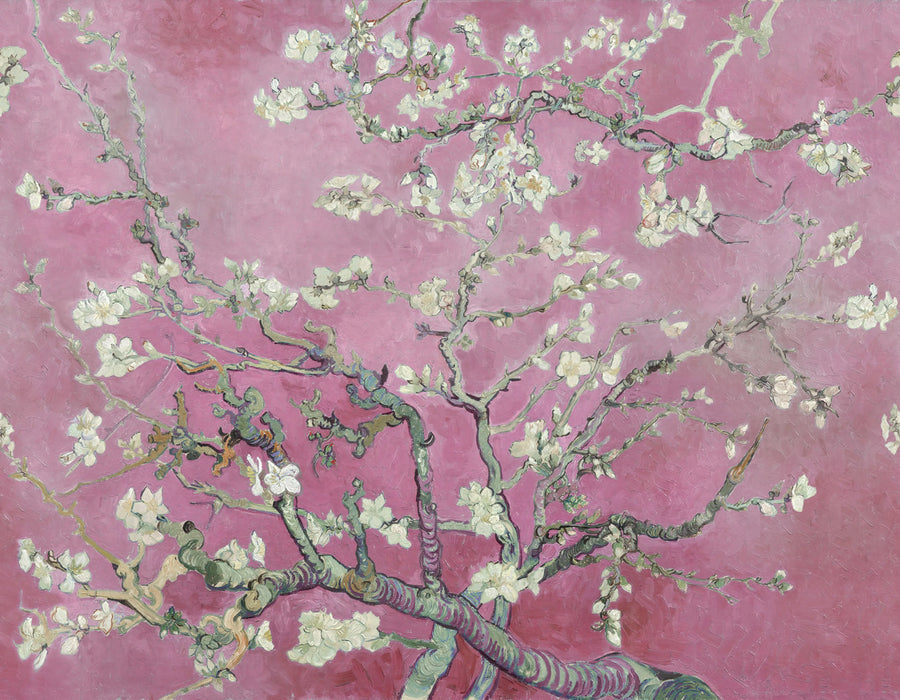 Almond Blossom, Pink Mural Wallpaper