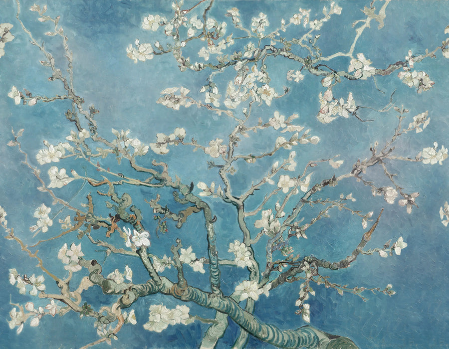 Almond Blossom by Van Gogh Mural Wallpaper