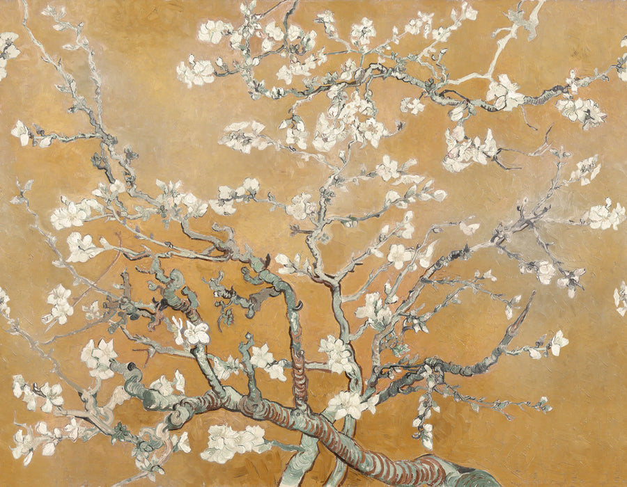 Almond Blossom, Orange Mural Wallpaper