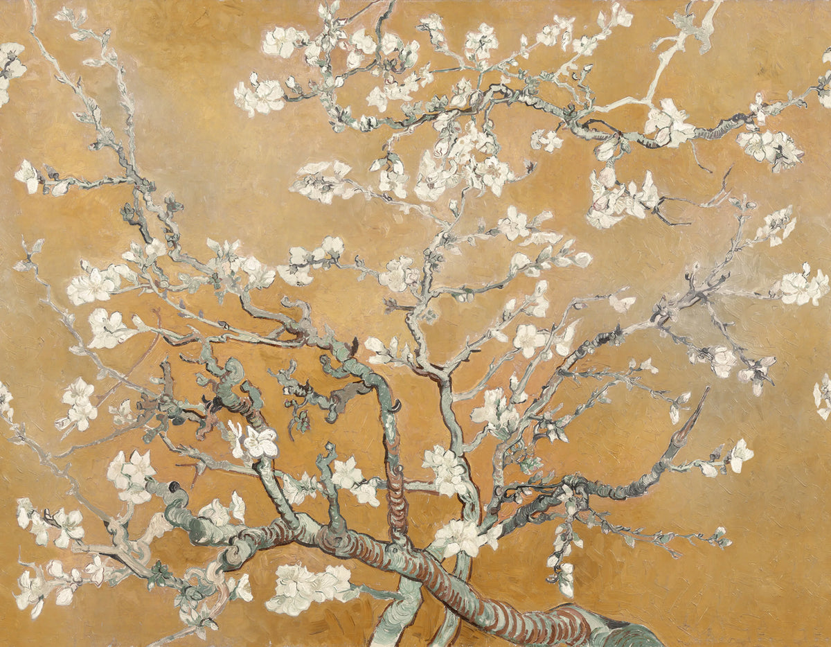 Almond Blossom, Orange Mural Wallpaper - pure wallpaper artwork