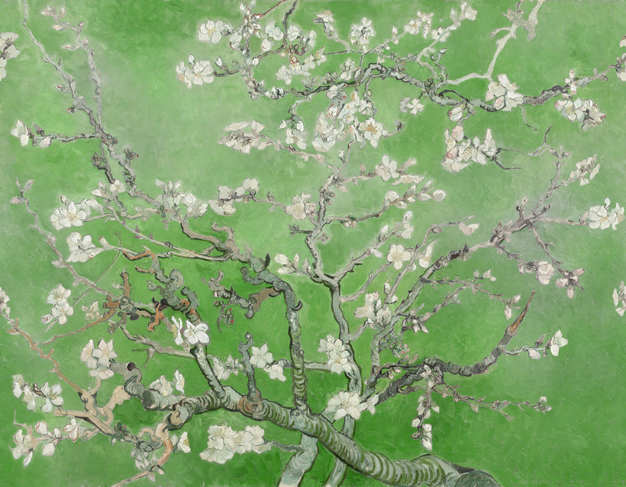 Almond Blossom, Green Mural Wallpaper