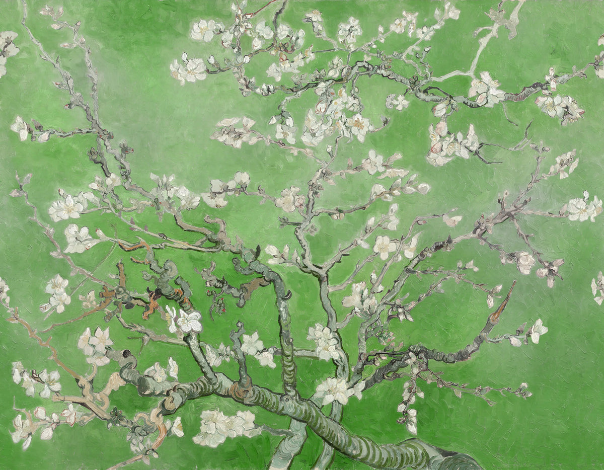 Almond Blossom, Green Mural Wallpaper - pure wallpaper artwork
