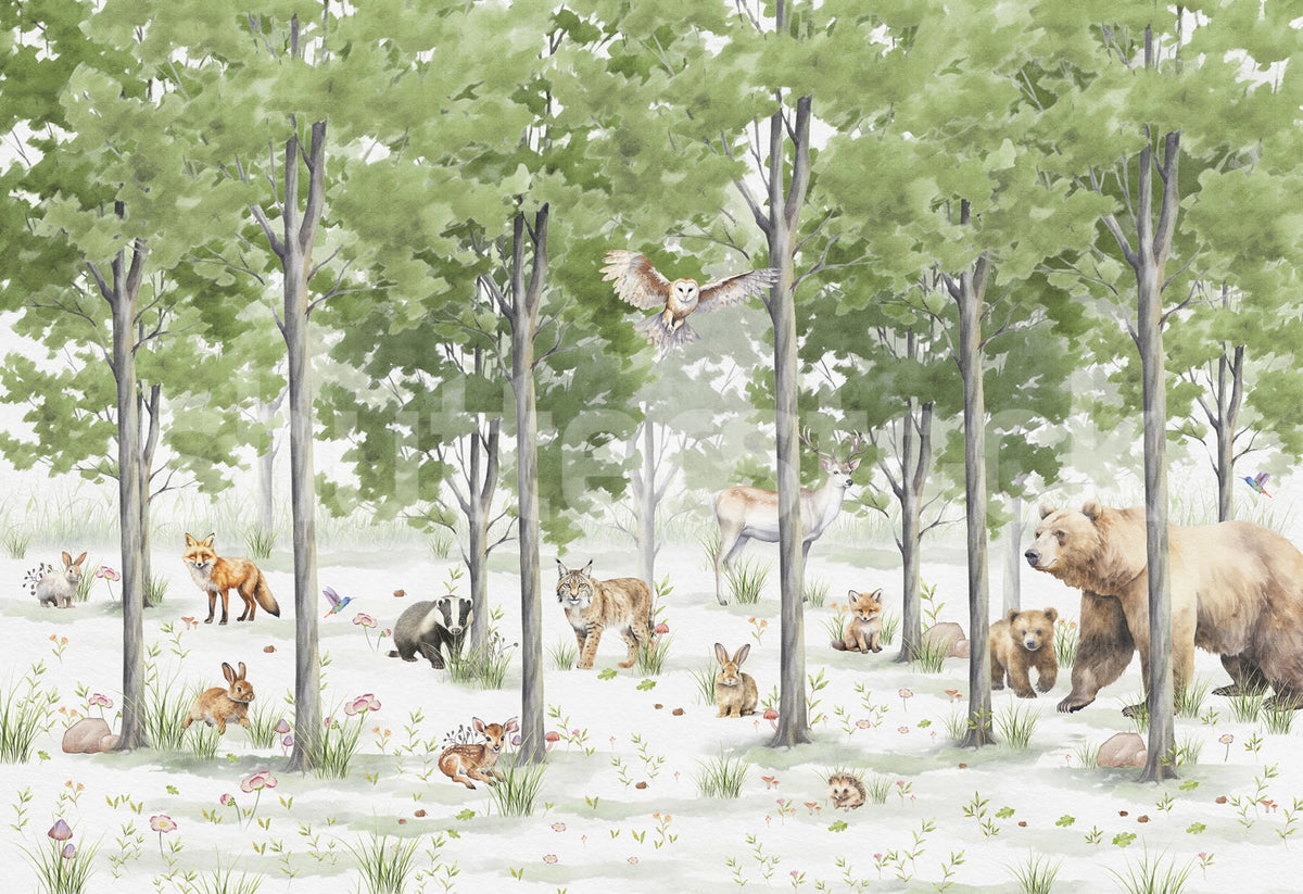 Friendly Forest, Green Mural Wallpaper - pure wallpaper artwork