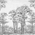 Graphic Trees, Black & White Mural Wallpaper - pure wallpaper artwork