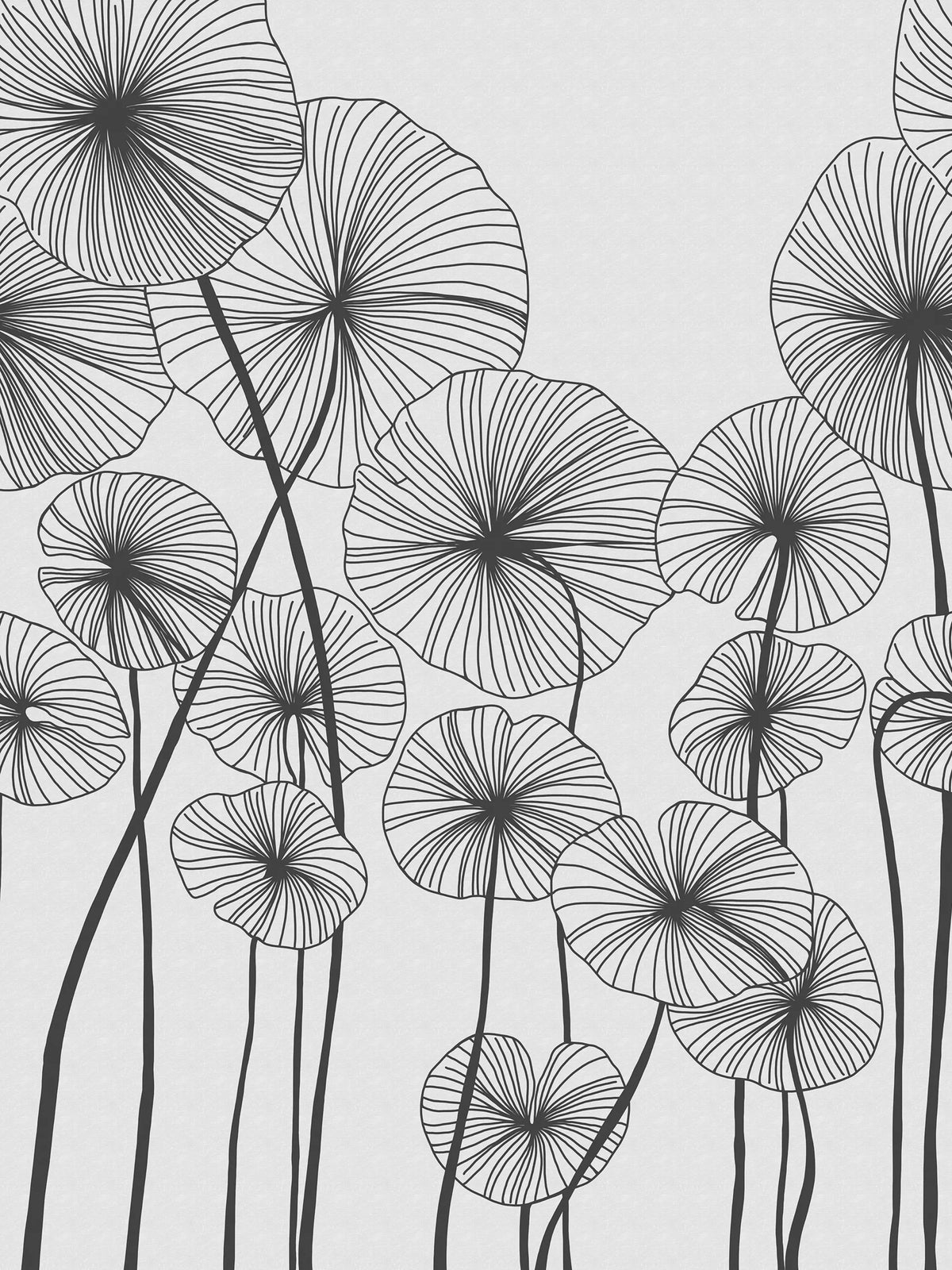 Waterlily Forest, Black & White Mural Wallpaper - pure wallpaper artwork