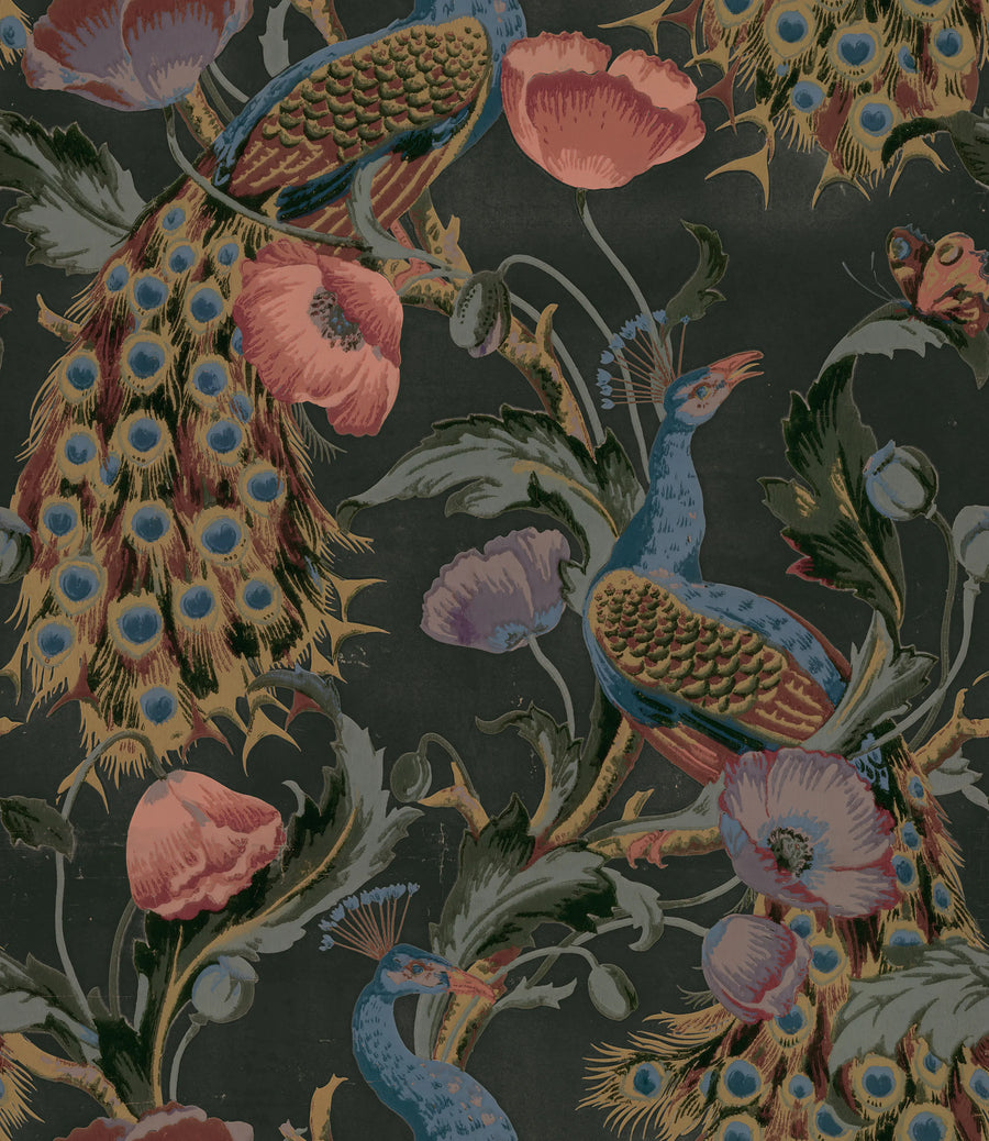Vintage Peacock, Black Mural Wallpaper