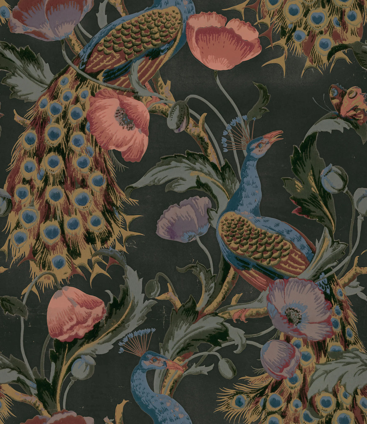 Vintage Peacock, Black Mural Wallpaper - pure wallpaper artwork