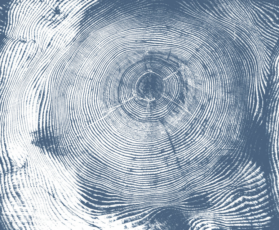 Tree Cut, Blue Mural Wallpaper
