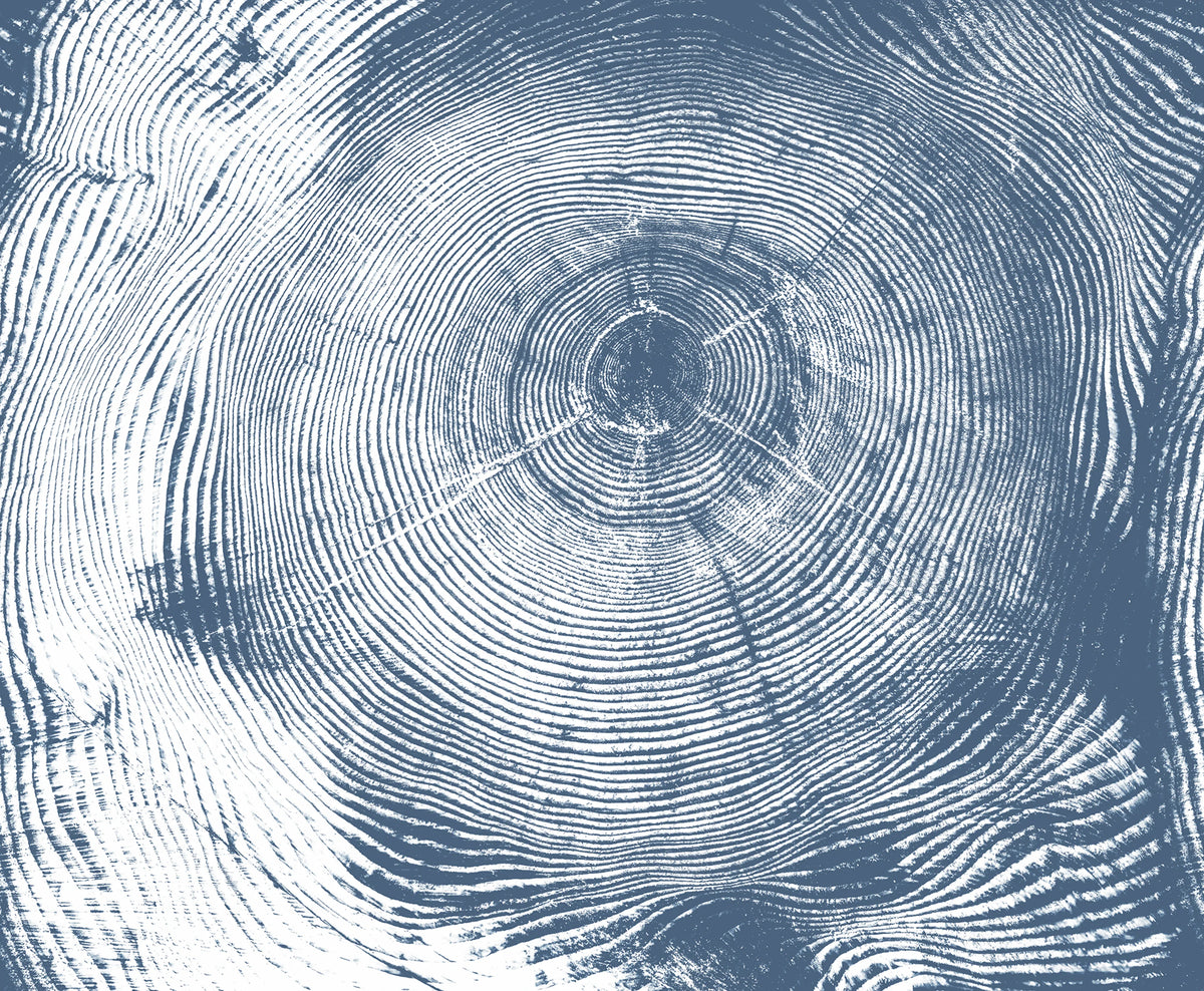 Tree Cut, Blue Mural Wallpaper - pure wallpaper artwork