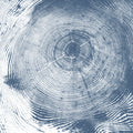Tree Cut, Blue Mural Wallpaper - pure wallpaper artwork
