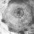 Tree Cut, Black Mural Wallpaper - pure wallpaper artwork