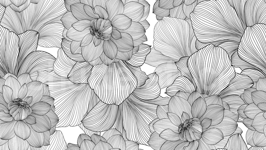 Bold Dahlia, Graphite Mural Wallpaper
