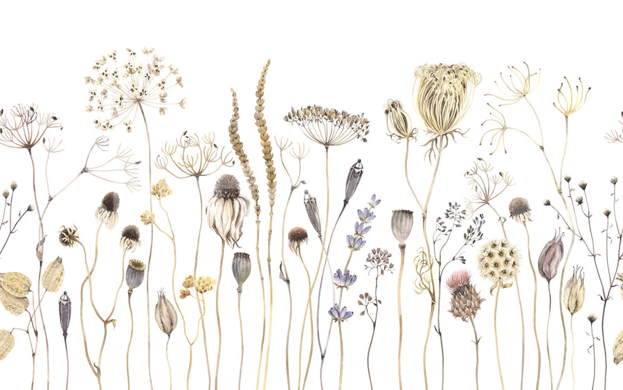 Dried Flower Meadow, Beige Mural Wallpaper
