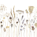 Dried Flower Meadow, Beige Mural Wallpaper - pure wallpaper artwork