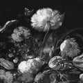 Bold Bouquet, Black Mural Wallpaper - pure wallpaper artwork