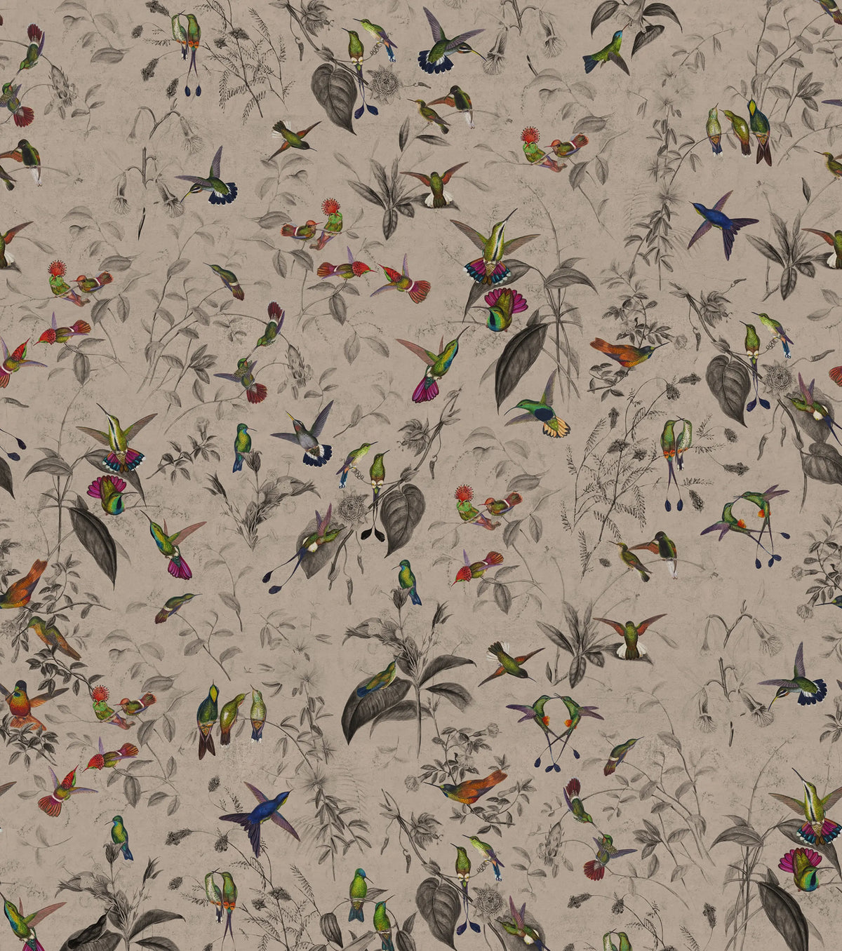 Hummingbird, Beige Mural Wallpaper - pure wallpaper artwork