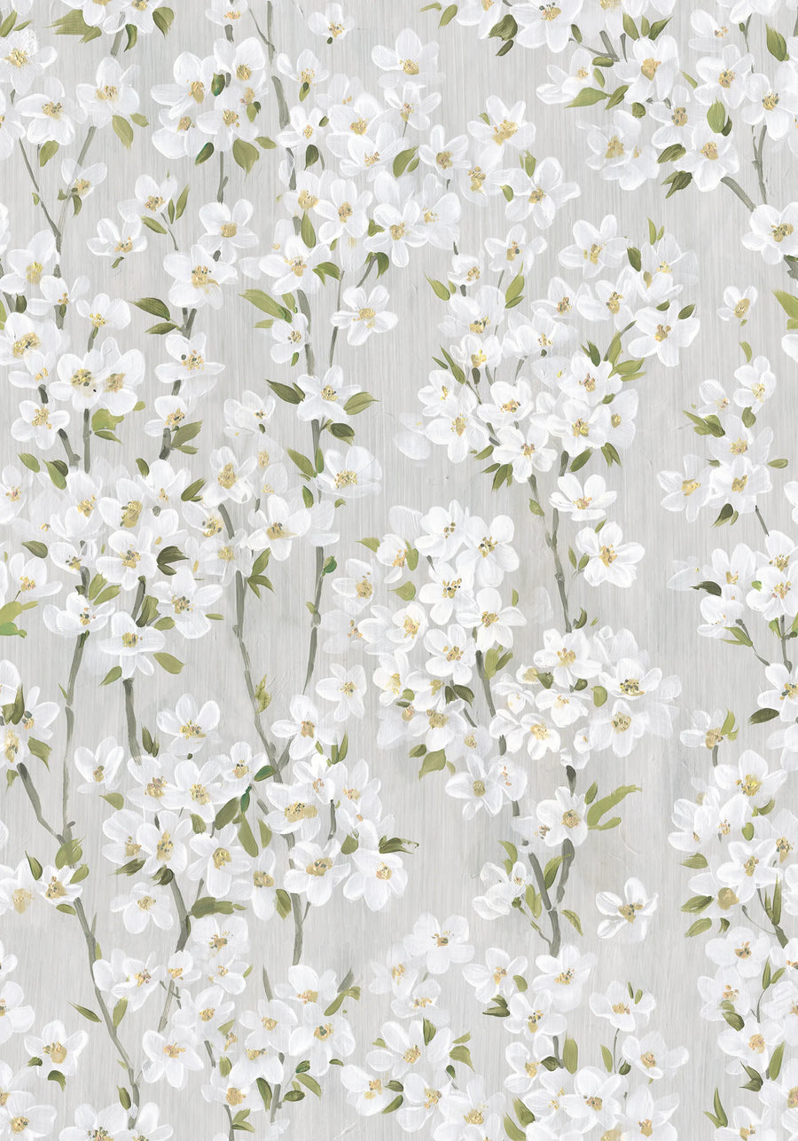 Cherry Blossom Tree, White Mural Wallpaper