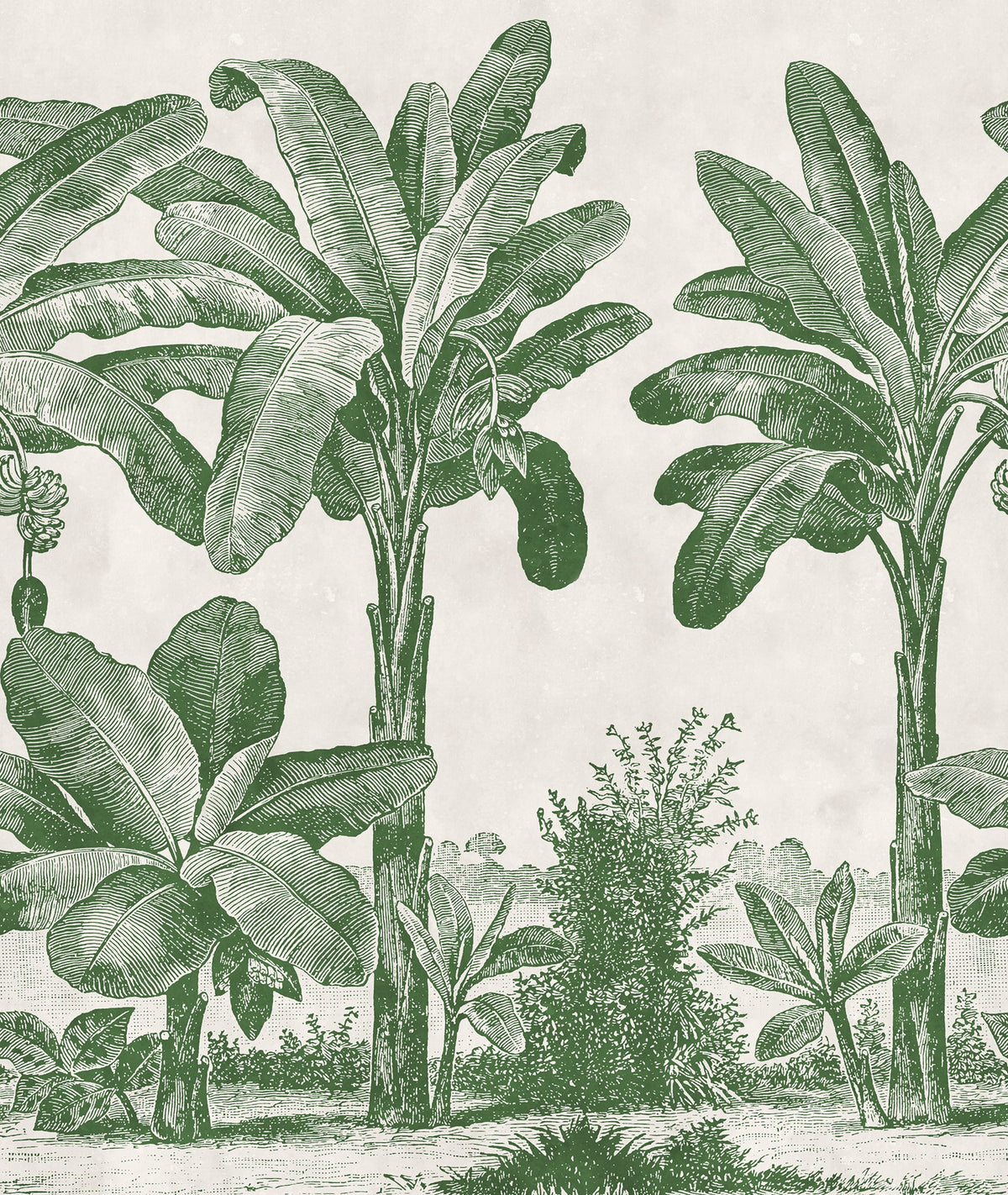 Timeless Tropics, Green Mural Wallpaper - pure wallpaper artwork