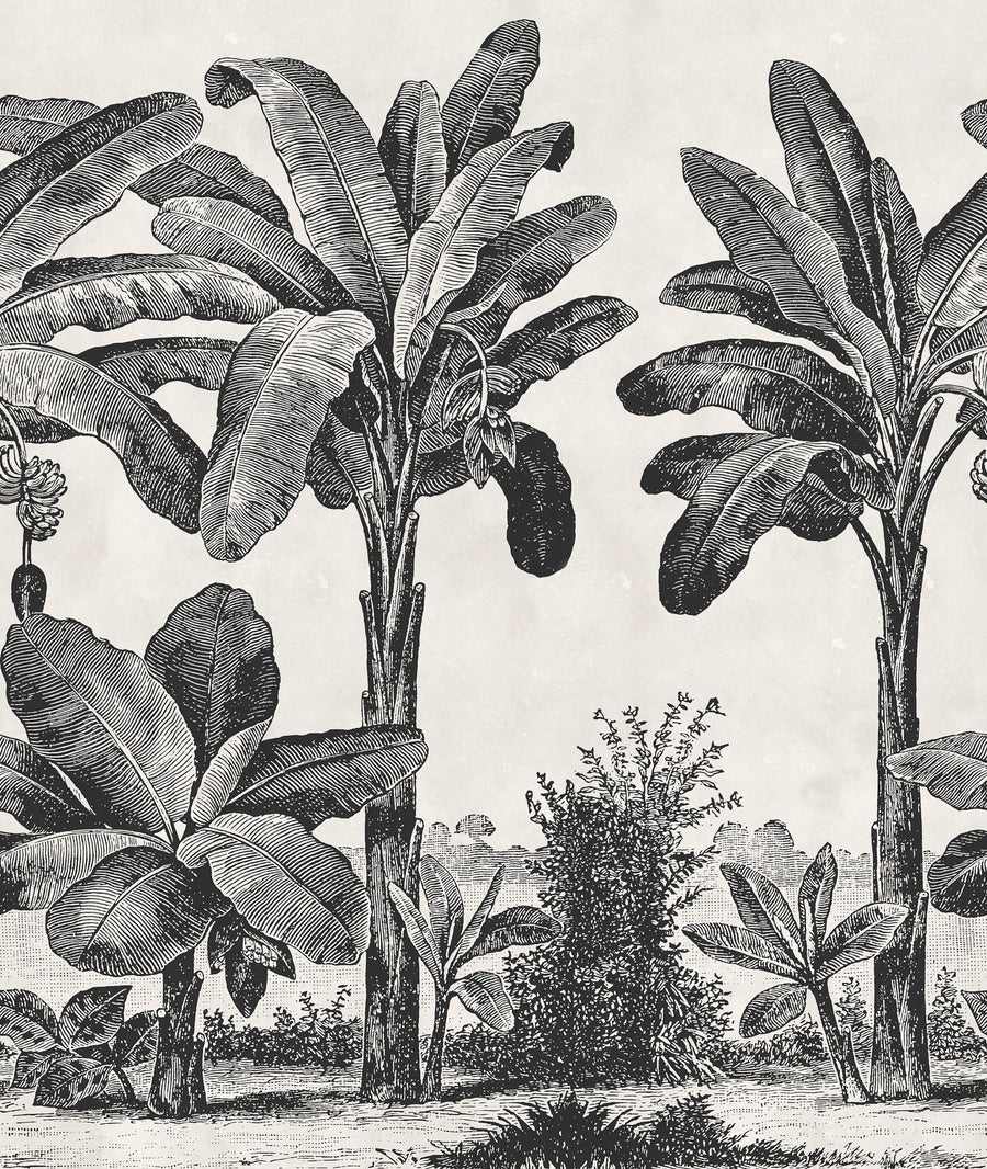 Timeless Tropics, Black & White Mural Wallpaper