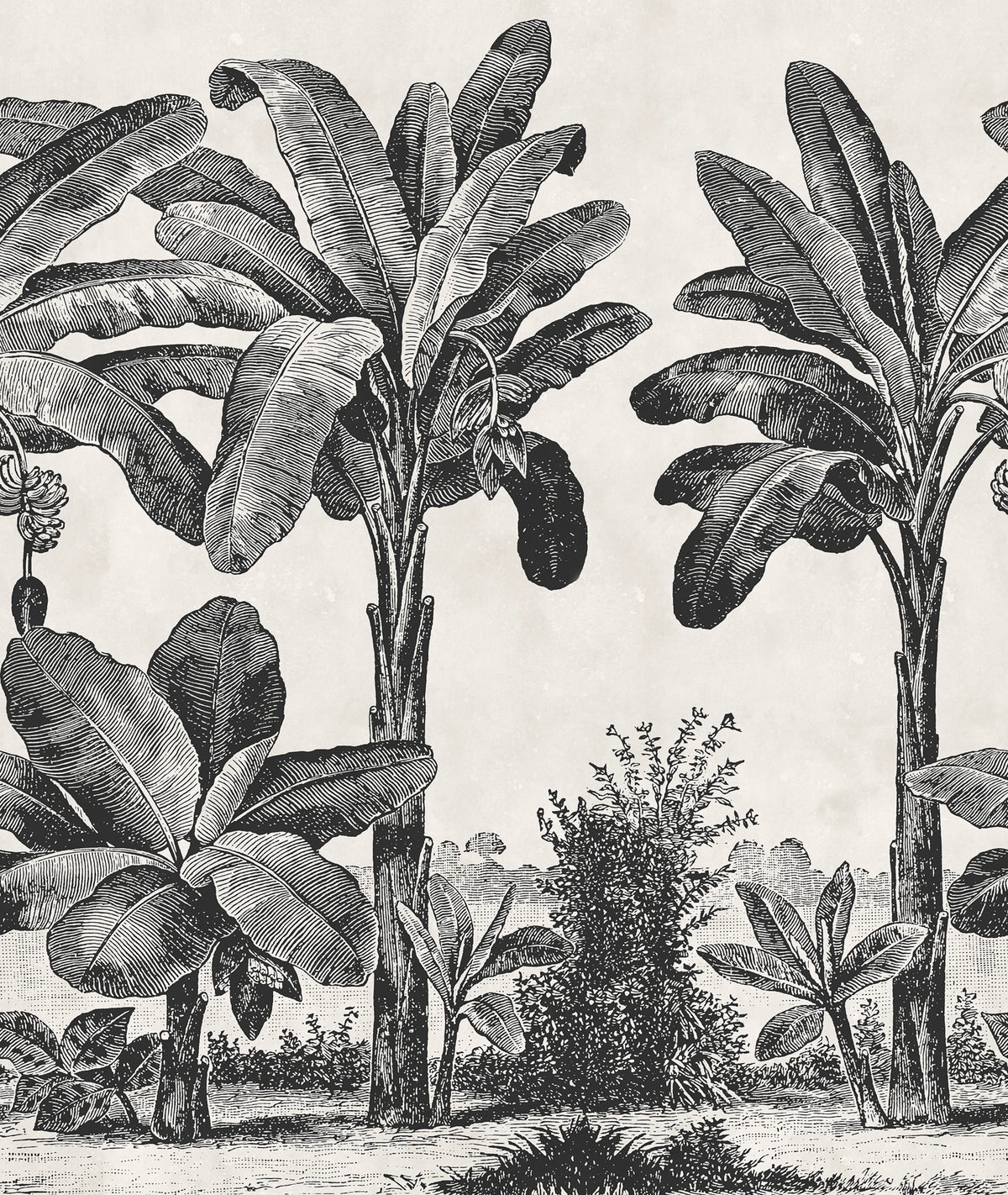 Timeless Tropics, Black & White Mural Wallpaper - pure wallpaper artwork