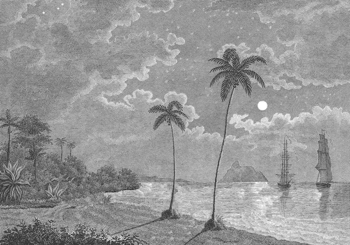 Palm Beach, Black & White Mural Wallpaper - pure wallpaper artwork
