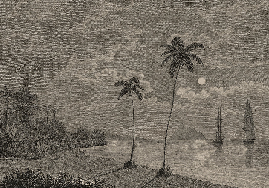 Palm Beach, Vintage Mural Wallpaper