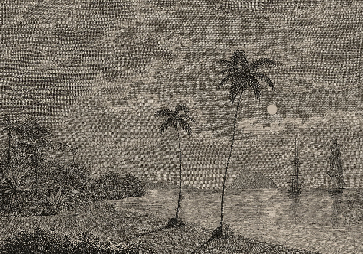 Palm Beach, Vintage Mural Wallpaper - pure wallpaper artwork