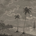 Palm Beach, Vintage Mural Wallpaper - pure wallpaper artwork
