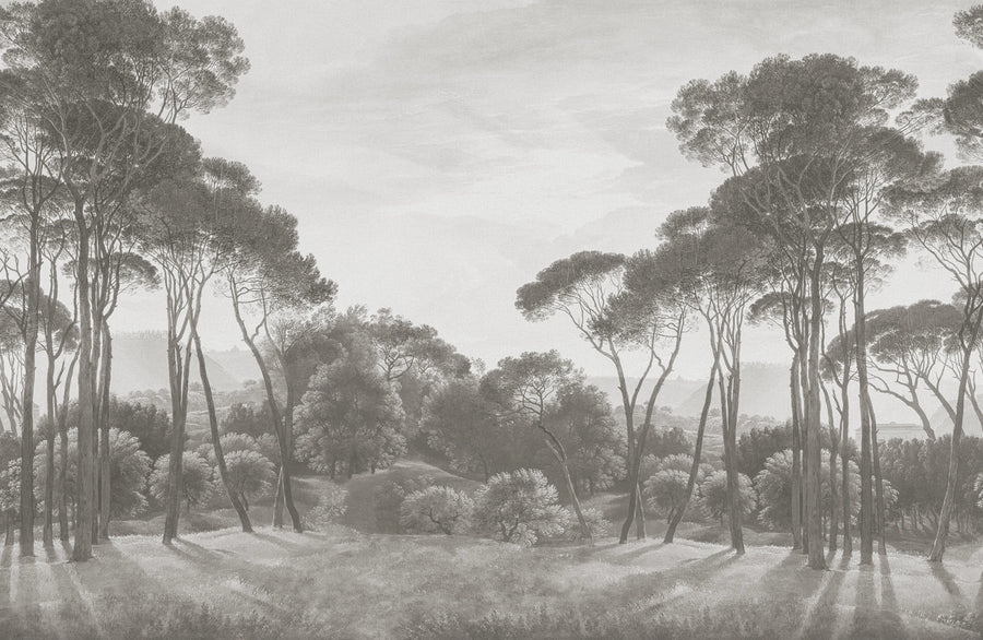 Pine Wood, Gray Mural Wallpaper