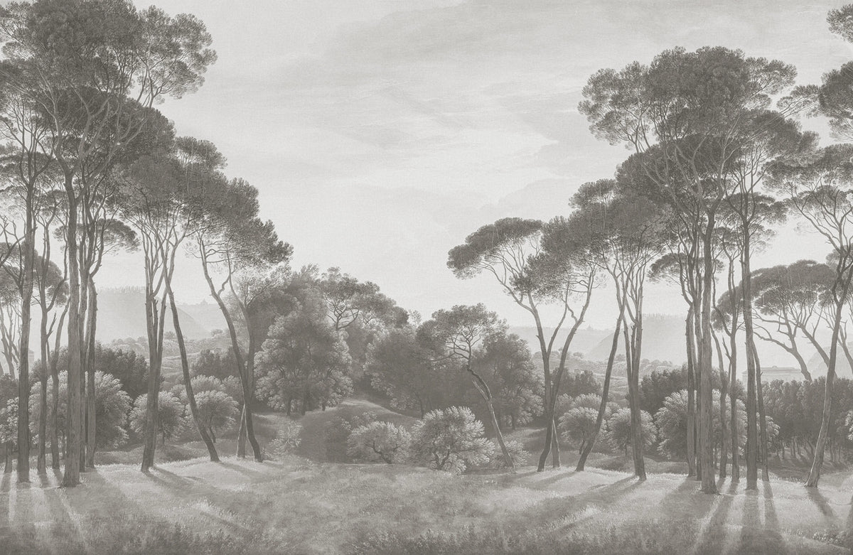 Pine Wood, Gray Mural Wallpaper - pure wallpaper artwork