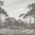 Pine Wood, Gray Mural Wallpaper - pure wallpaper artwork
