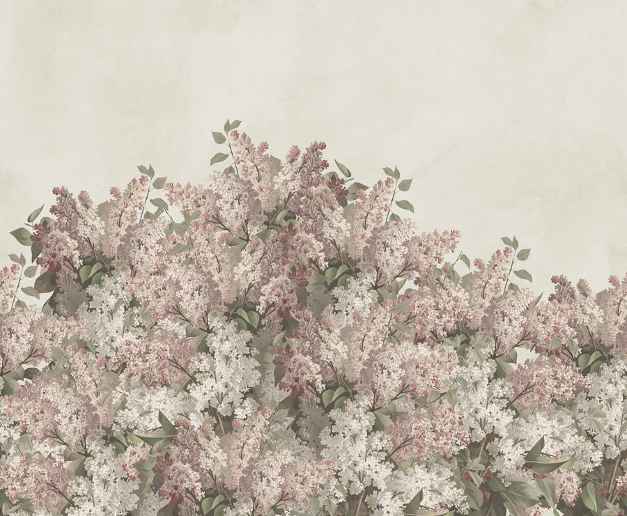 Syringa Flowers, Pink Mural Wallpaper