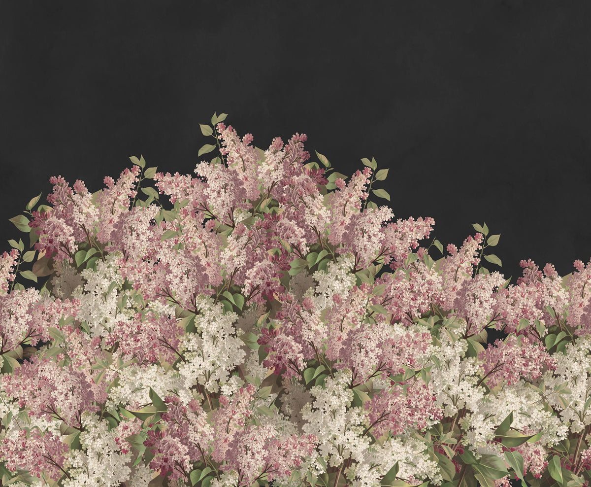 Syringa Flowers, Black Mural Wallpaper - pure wallpaper artwork