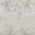 Daydream, Gray Mural Wallpaper - pure wallpaper artwork