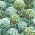Elysian Flowers, Green Mural Wallpaper - pure wallpaper artwork
