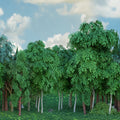 Gaming Woods, Summer Mural Wallpaper - pure wallpaper artwork