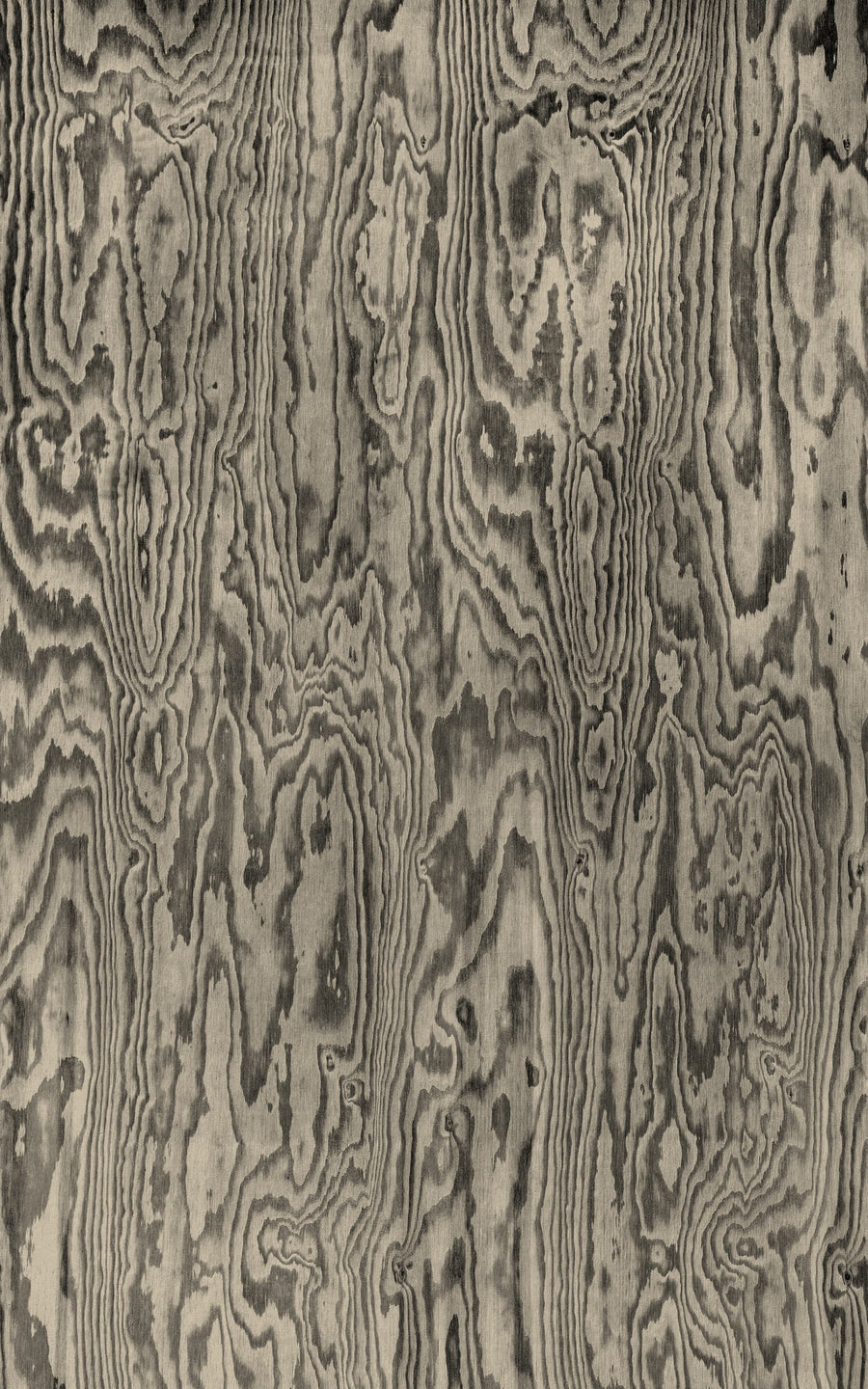 Wood Shades, Gray Mural Wallpaper