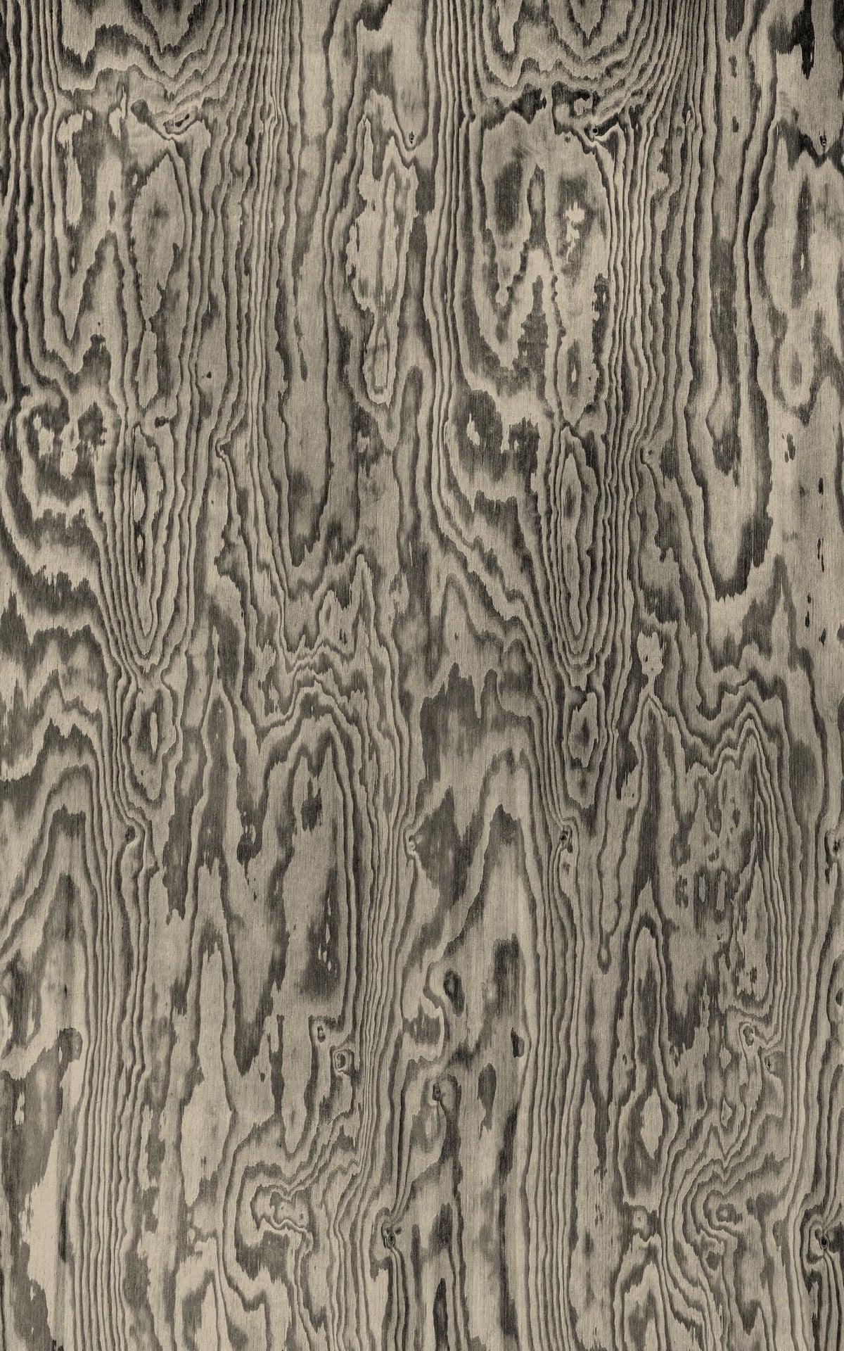 Wood Shades, Gray Mural Wallpaper - pure wallpaper artwork