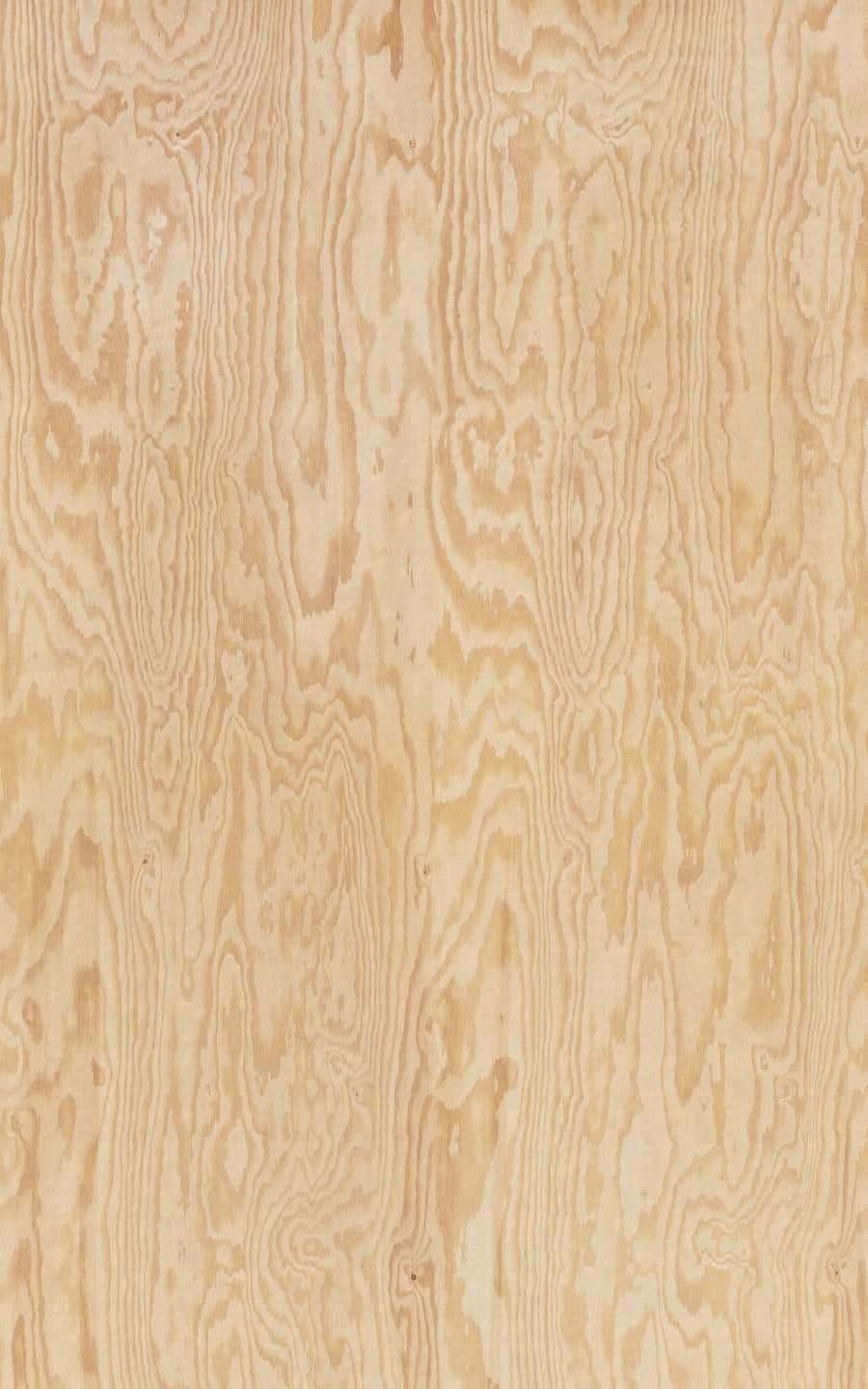 Wood Shades, Pine Wood Mural Wallpaper