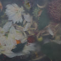 Glossy Flower, Summer Mural Wallpaper - pure wallpaper artwork